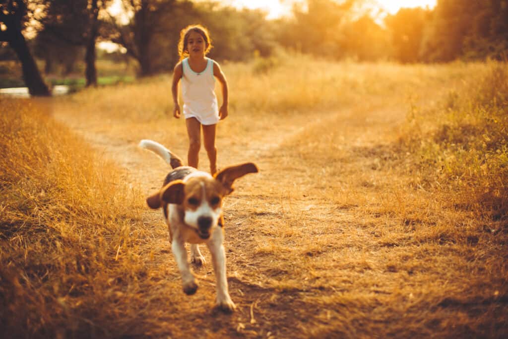 dog running with little girl
